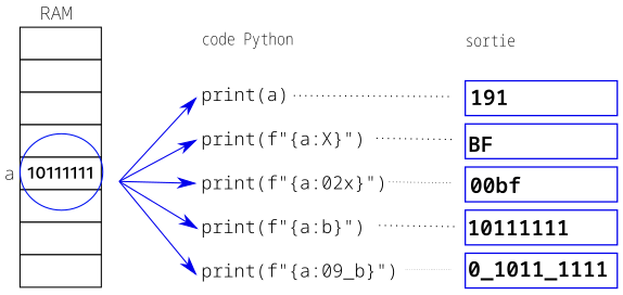 printf