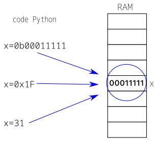 ram