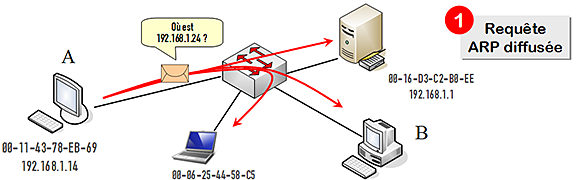 arp1