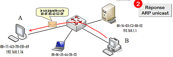 arp2