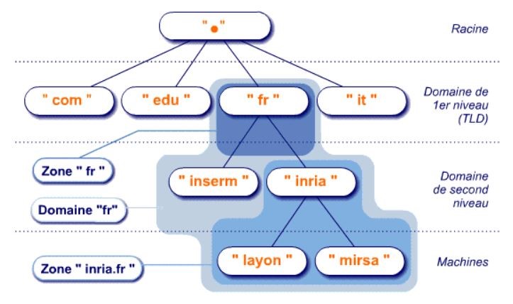 tld